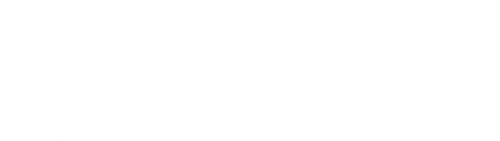 Añadir un subtítulo (4)
